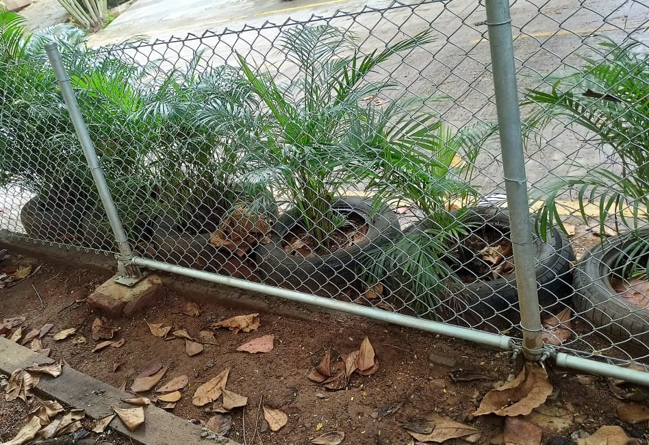 garden fence small